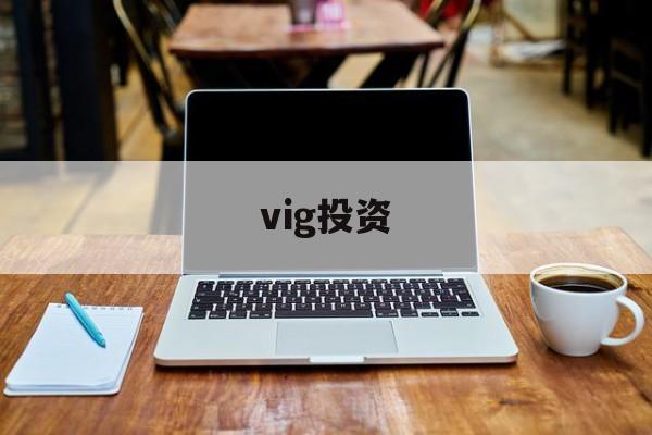vig投资(vigorously)